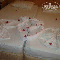 фото из отзыва ID 245606