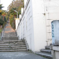 фото из отзыва ID 245232