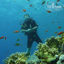 фото из отзыва ID 246278