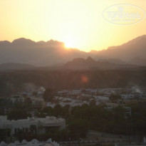 фото из отзыва ID 246463