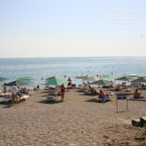 фото из отзыва ID 246838