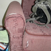 фото из отзыва ID 246958