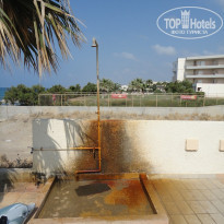 фото из отзыва ID 246993