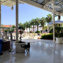 фото из отзыва ID 2468559