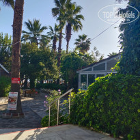 фото из отзыва ID 2468559