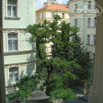 фото из отзыва ID 247913