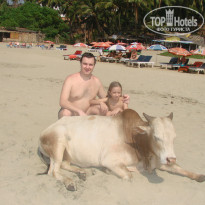 фото из отзыва ID 247473