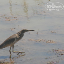 фото из отзыва ID 247473