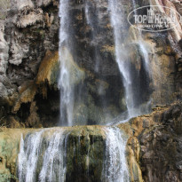 фото из отзыва ID 247805