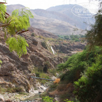 фото из отзыва ID 247805