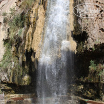 фото из отзыва ID 247805