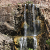 фото из отзыва ID 247805