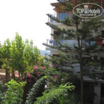 фото из отзыва ID 248352