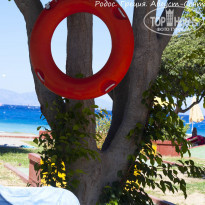 фото из отзыва ID 248491