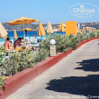 фото из отзыва ID 248491