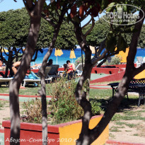 фото из отзыва ID 248491