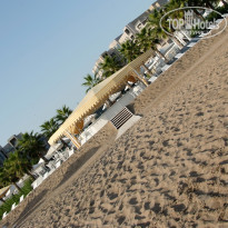 фото из отзыва ID 248779