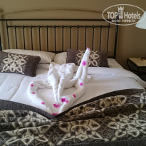 фото из отзыва ID 2482424