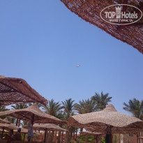 фото из отзыва ID 2482424