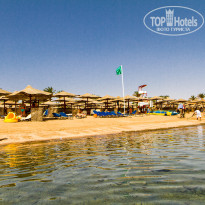 фото из отзыва ID 2482424