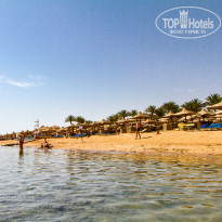 фото из отзыва ID 2482424