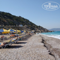 фото из отзыва ID 250102