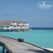 фото из отзыва ID 250611