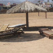 фото из отзыва ID 251151