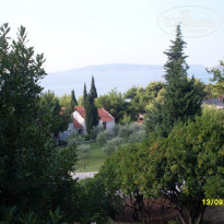 фото из отзыва ID 251424