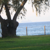 фото из отзыва ID 251618