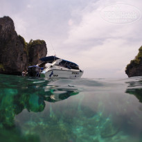 фото из отзыва ID 2519946