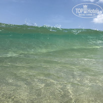 фото из отзыва ID 2519946