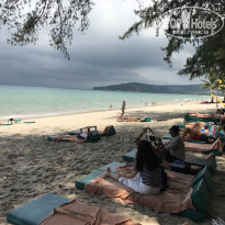 фото из отзыва ID 2519946