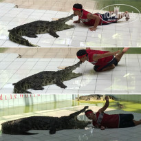 фото из отзыва ID 2519946