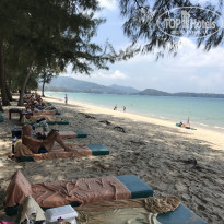 фото из отзыва ID 2519946