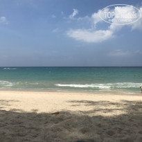 фото из отзыва ID 2519946