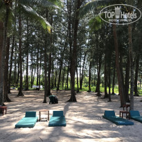 фото из отзыва ID 2519946