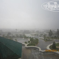 фото из отзыва ID 252326