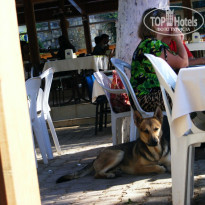 фото из отзыва ID 252581