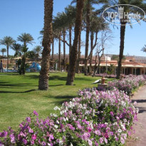 фото из отзыва ID 2520634