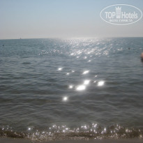 фото из отзыва ID 253468