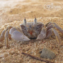 фото из отзыва ID 254164