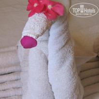 фото из отзыва ID 254164