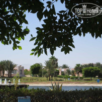 фото из отзыва ID 254516