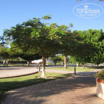 фото из отзыва ID 254516