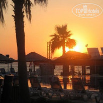 фото из отзыва ID 254795