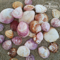 фото из отзыва ID 2543051