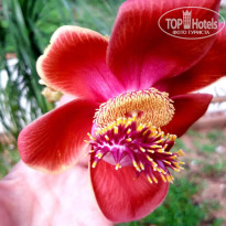 фото из отзыва ID 2547444