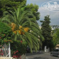 фото из отзыва ID 255116