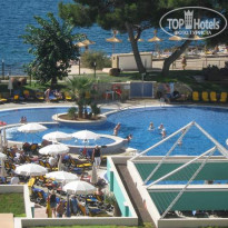 фото из отзыва ID 255116